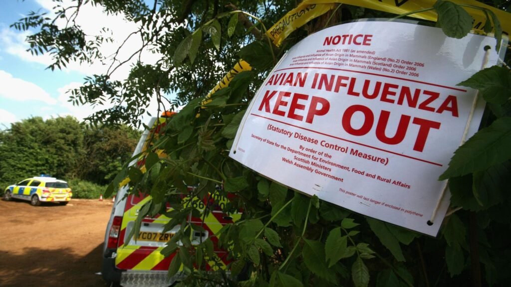 70 People In Colorado Are Being Monitored For Bird Flu,