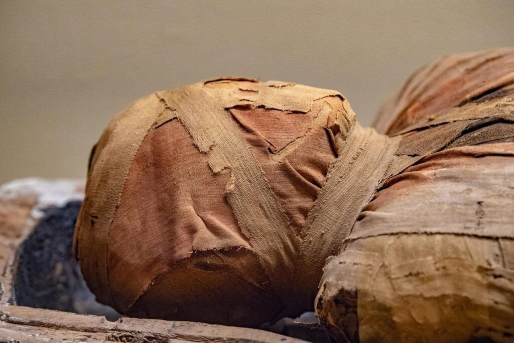 Mummies Over 4000 Years Old Had Atherosclerotic Heart Disease
