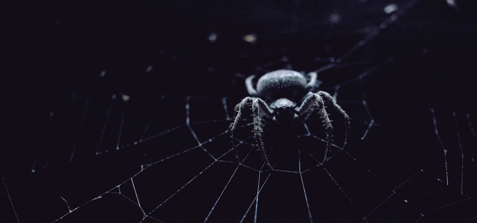 In The Philippines, You May Find This Poisonous Animal In