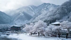 Podcast Bitcoin Vs Gold | Cz & Peter Schiff |