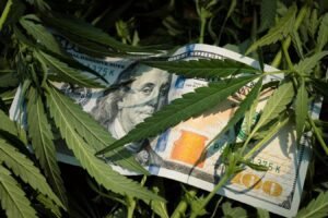 Cannabis companies have been taxed like drug dealers for years. A new federal order could unlock billions Cannabis Companies Have Been Taxed Like Drug Dealers For Years.
