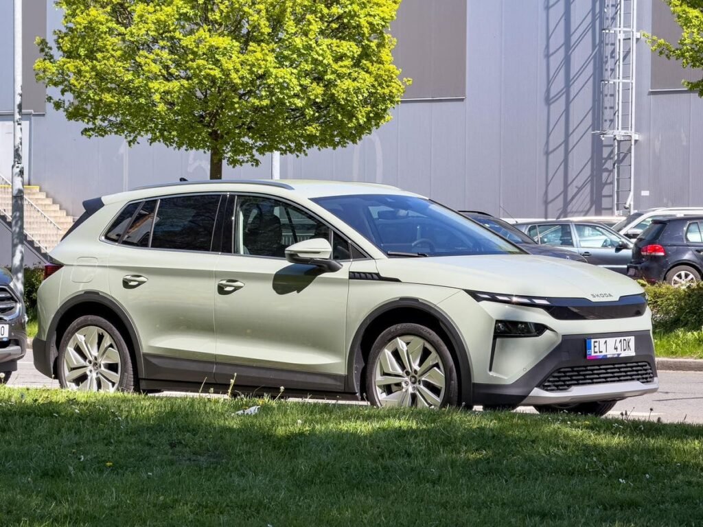 German Ev Subsidies Kick In And China Could Be A