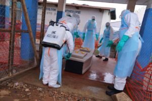 New Ebola vaccine enters human clinical trials New Ebola Vaccine Enters Human Clinical Trials